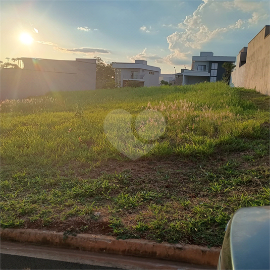 Foto REO1077170