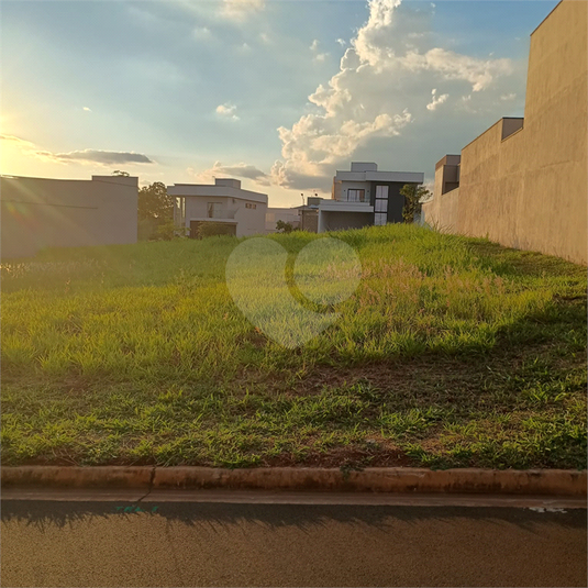 Foto REO1077170