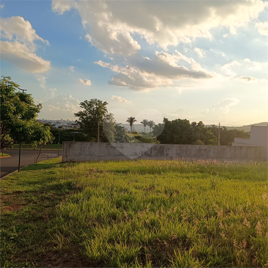 Foto REO1077170