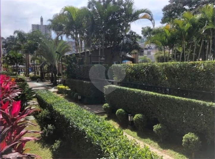 Foto REO1077175