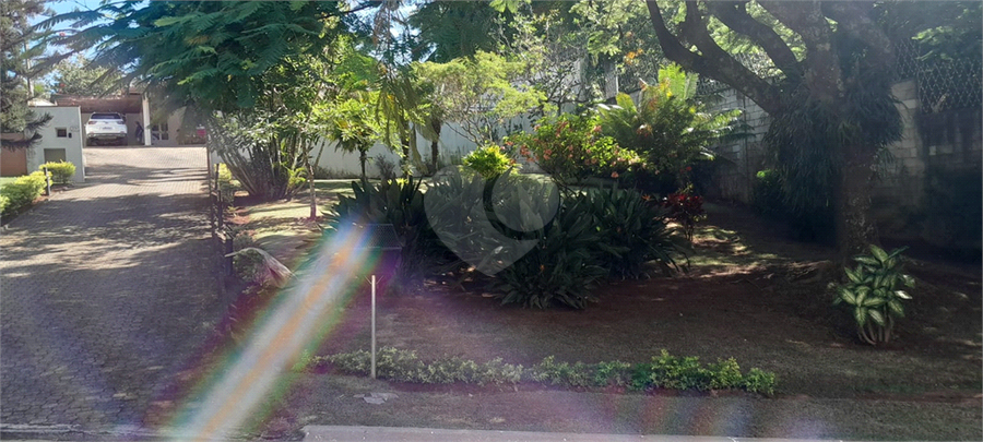 Foto REO1077194