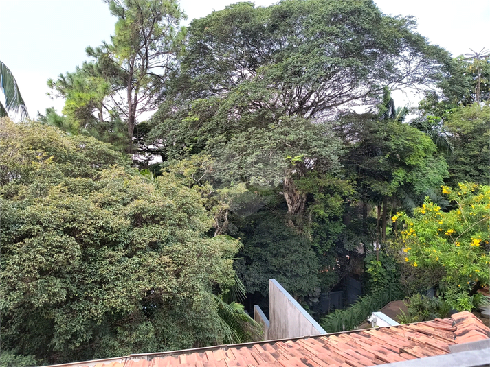 Foto REO1077199