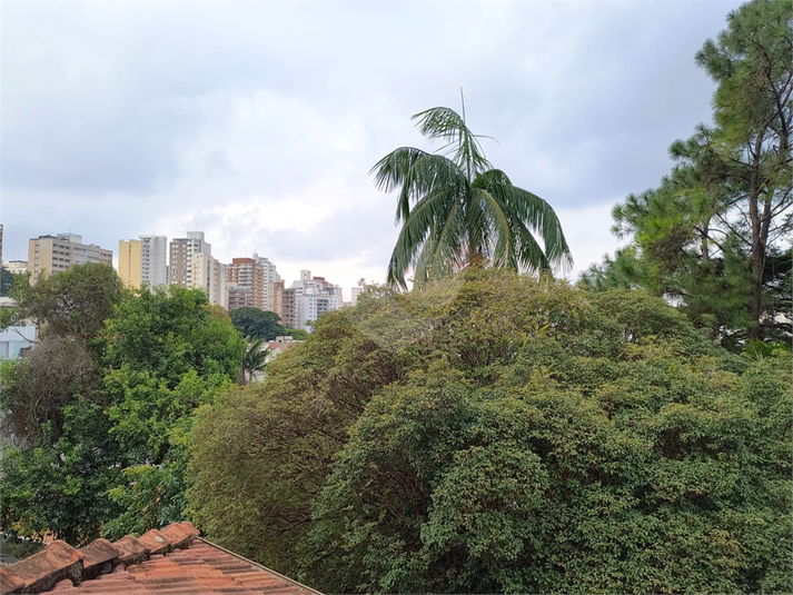 Foto REO1077199