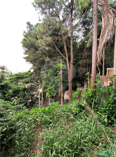 Foto REO1077199