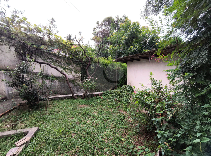 Foto REO1077199