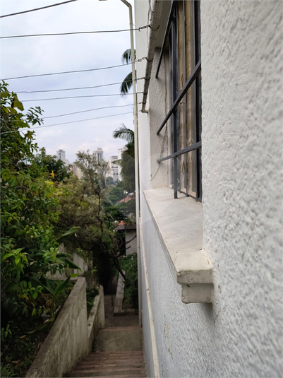 Foto REO1077199