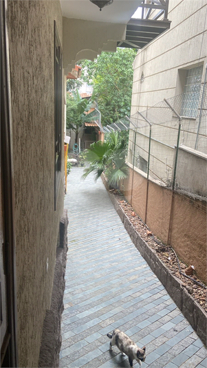Foto REO1077248