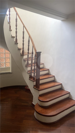 Foto REO1077248