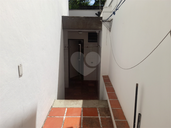 Foto REO1077256