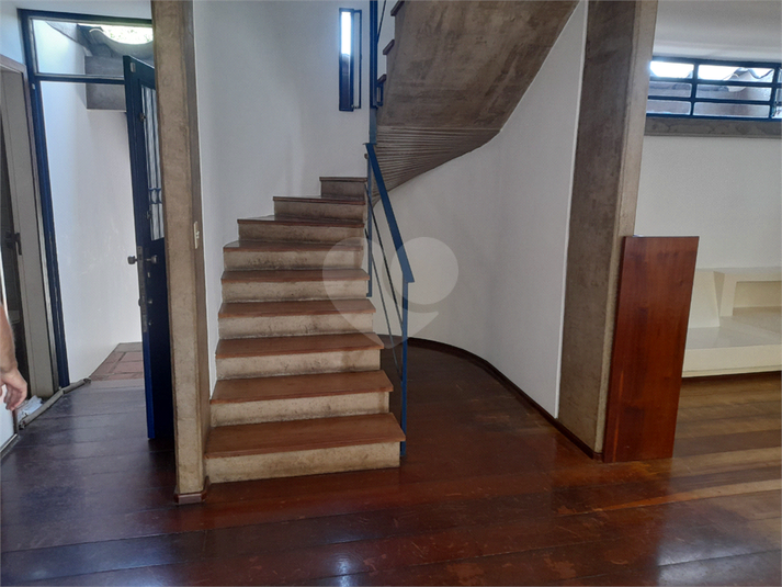 Foto REO1077256