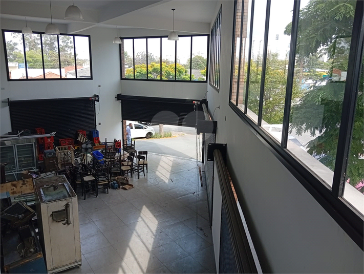 Foto REO1077302