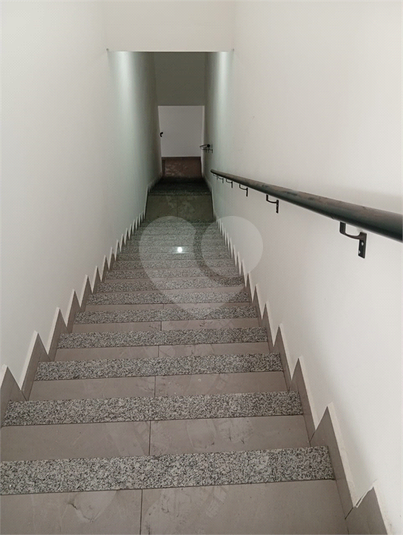 Foto REO1077302