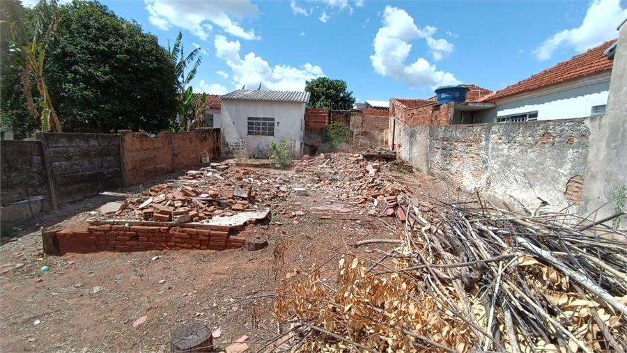 Foto REO1077349