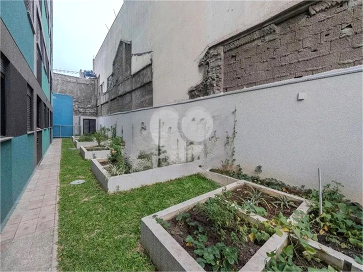 Foto REO1077354