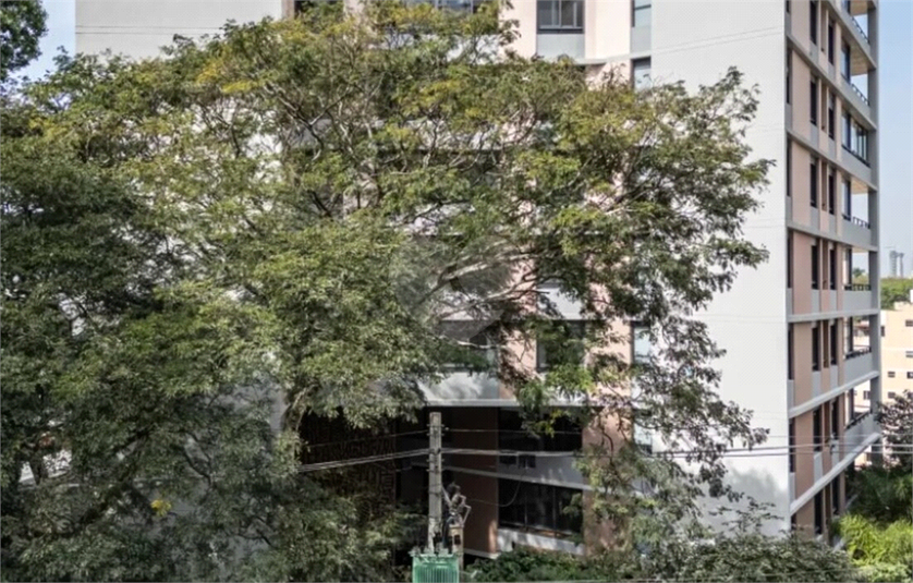 Foto REO1077357
