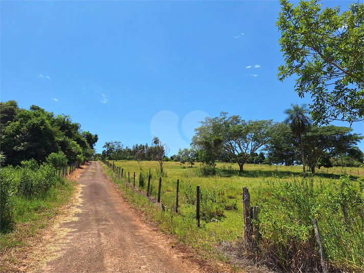 Foto REO1077363