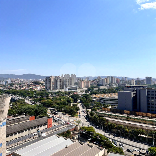 Foto REO1077364
