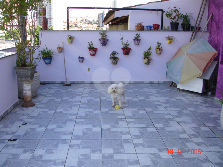 Foto REO1077366