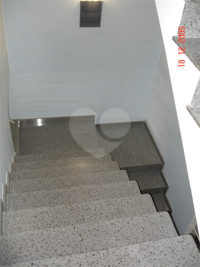 Foto REO1077366