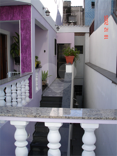 Foto REO1077366