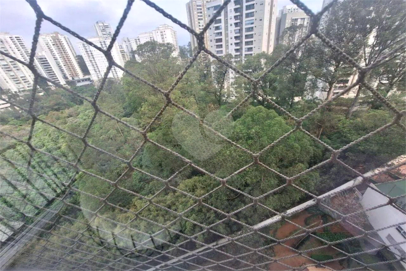 Foto REO1077402