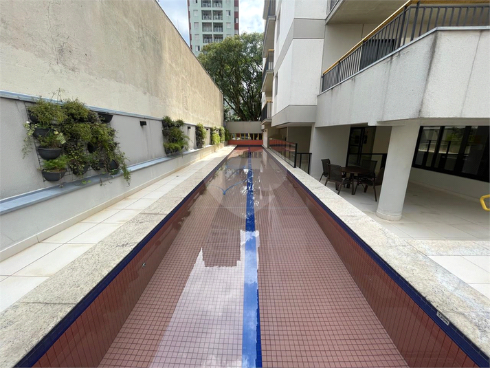 Foto REO1077405