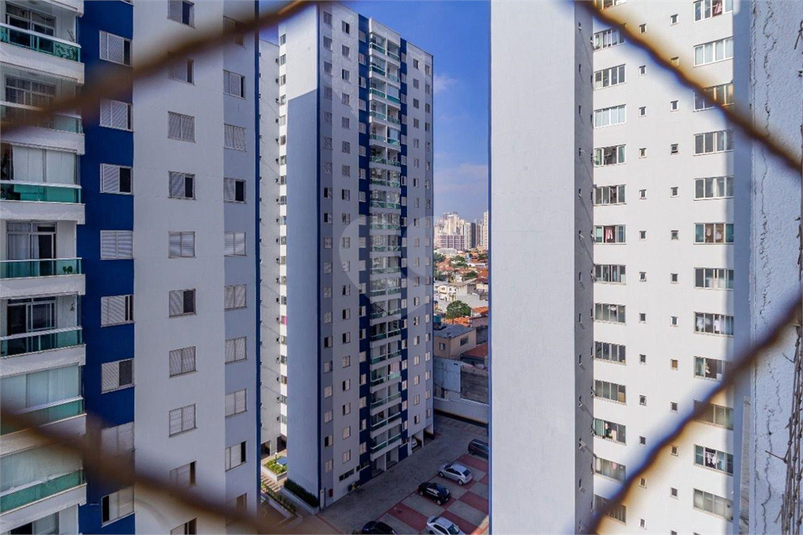 Foto REO1077430