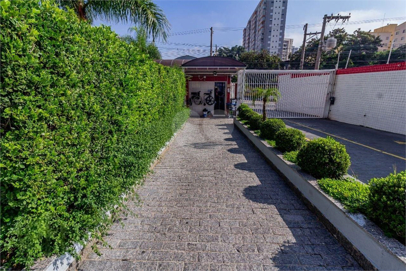 Foto REO1077430