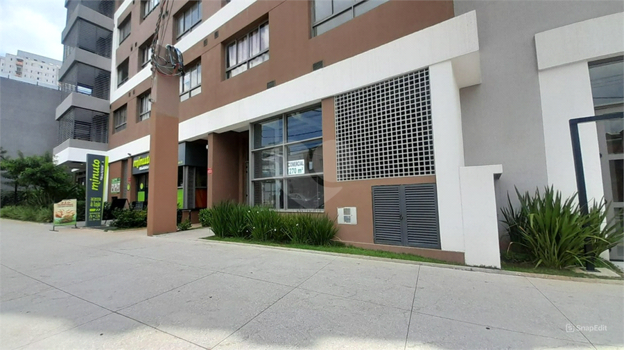 Foto REO1077433