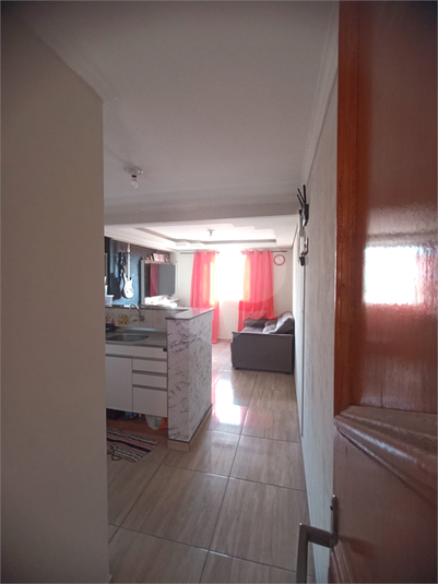 Foto REO1077440