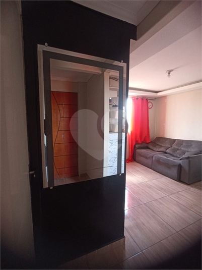 Foto REO1077440