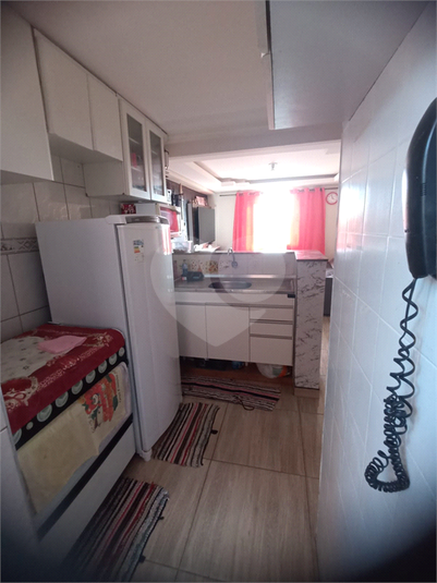 Foto REO1077440