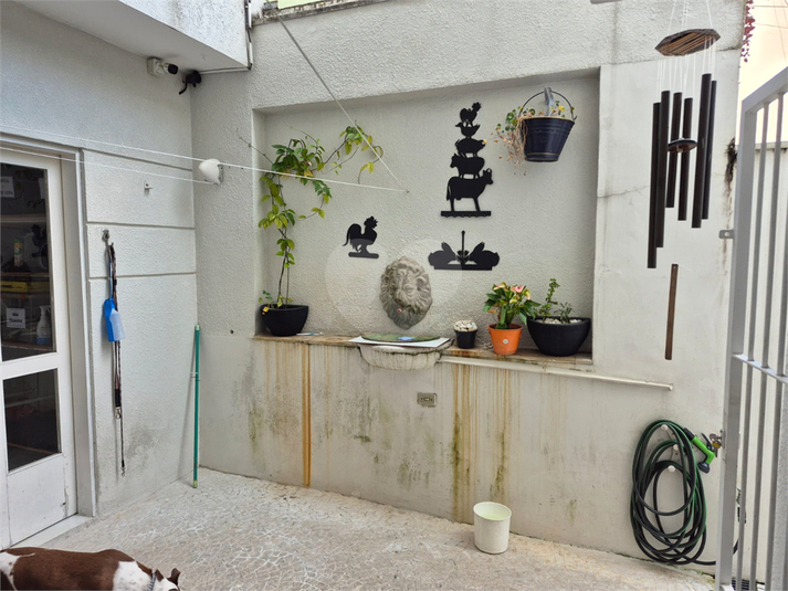Foto REO1077461