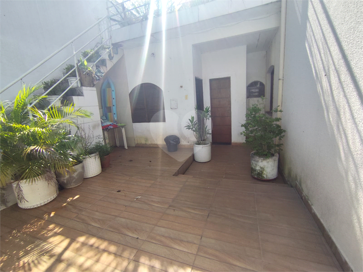 Foto REO1077462