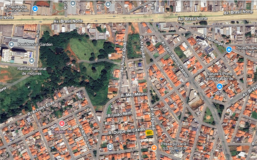 Foto REO1077491