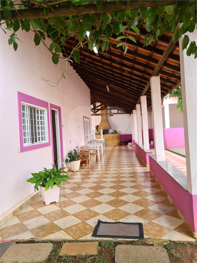 Foto REO1077504