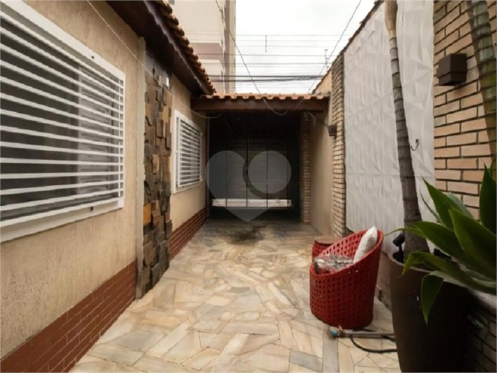 Foto REO1077521