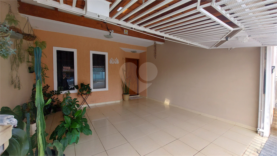 Foto REO1077522