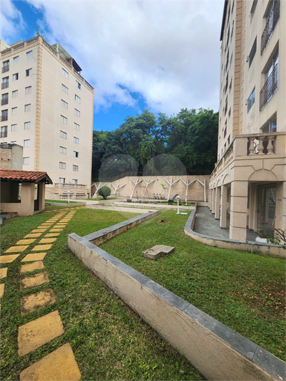 Foto REO1077560