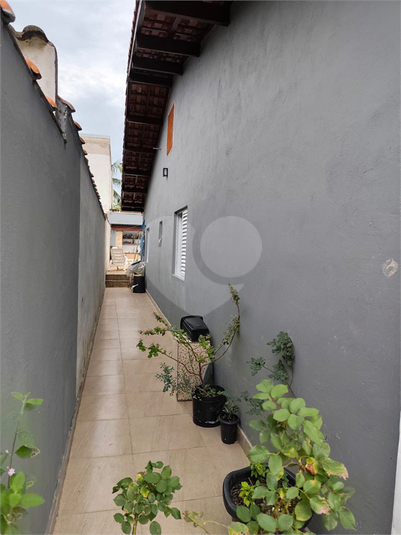 Foto REO1077563