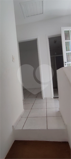 Foto REO1077575