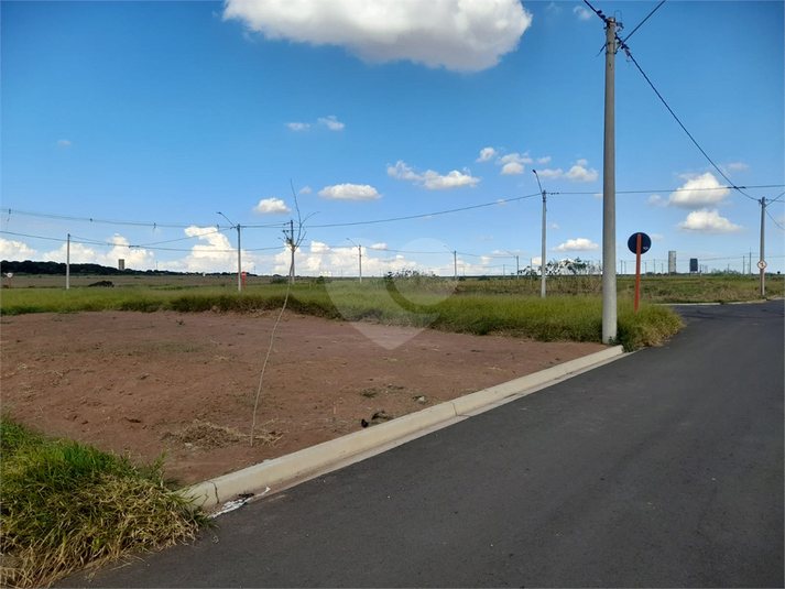 Foto REO1077582