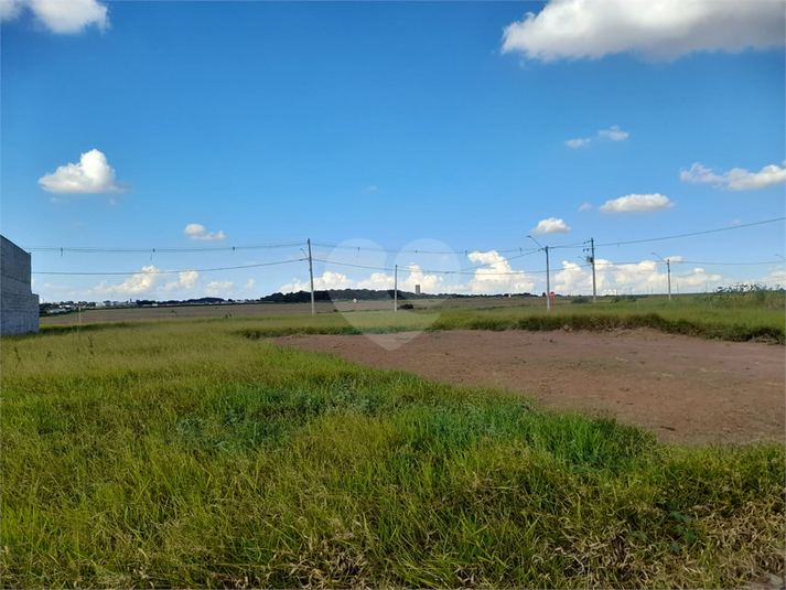 Foto REO1077582