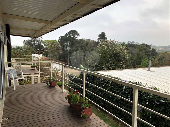 Foto REO1077602