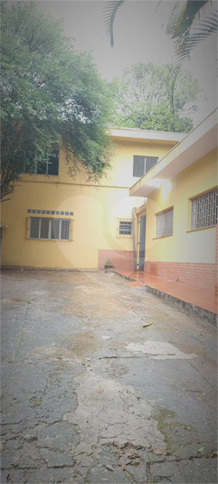 Foto REO1077603
