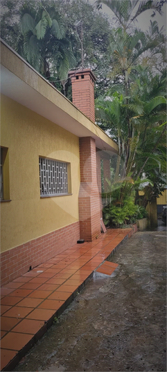Foto REO1077603