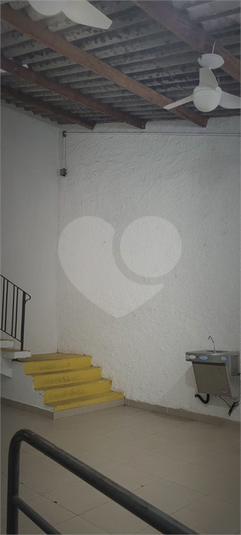 Foto REO1077603