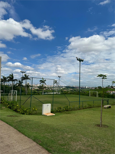 Foto REO1077606