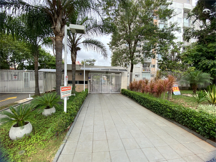 Foto REO1077622