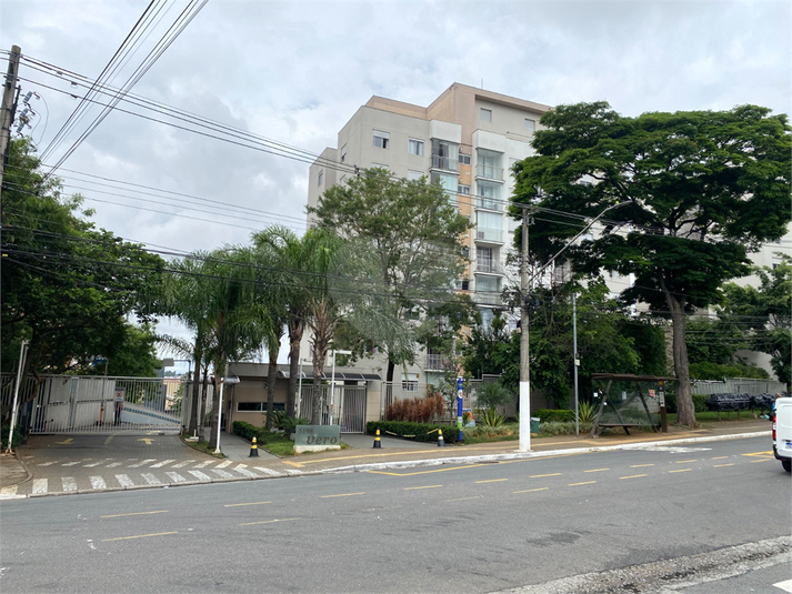Foto REO1077622